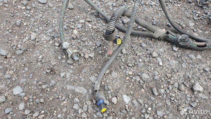 Проводка (коса) Renault Logan 240118316R