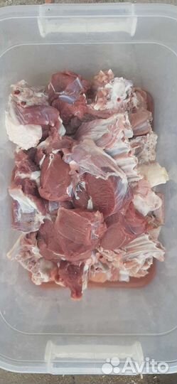 Бараны и овцы