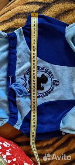 Костюм для собаки