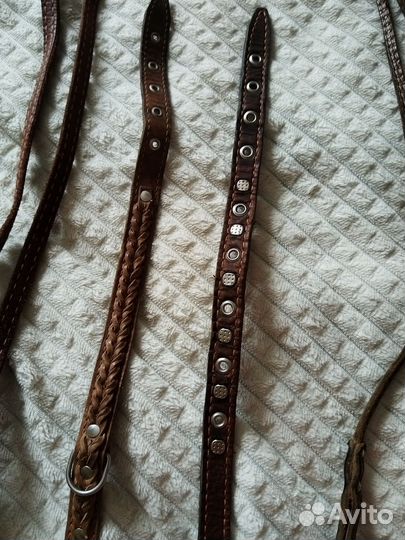 Ошейник и поводок