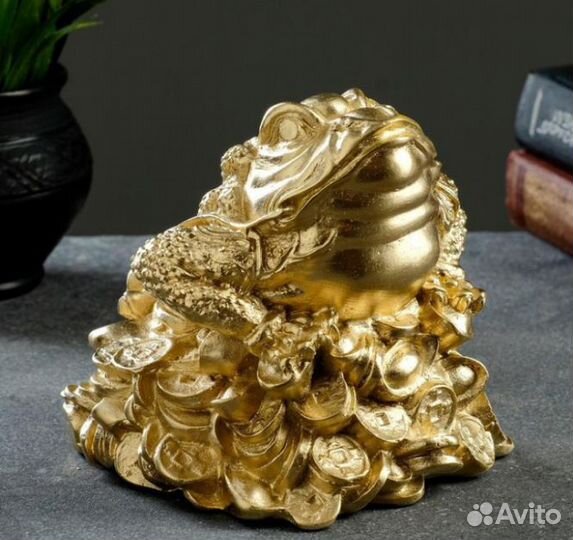 Жаба золотая