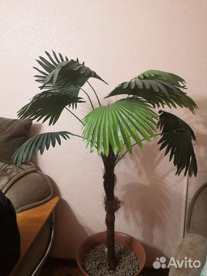 Цветок пальма искусственная