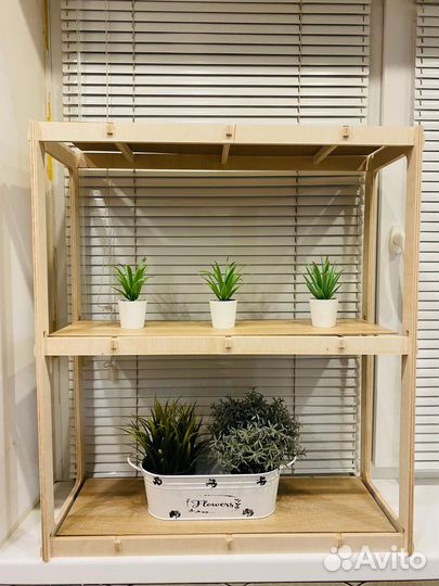 Рассада на окне