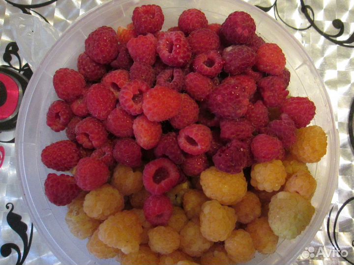 Растения и цветы для дачи и лоджии