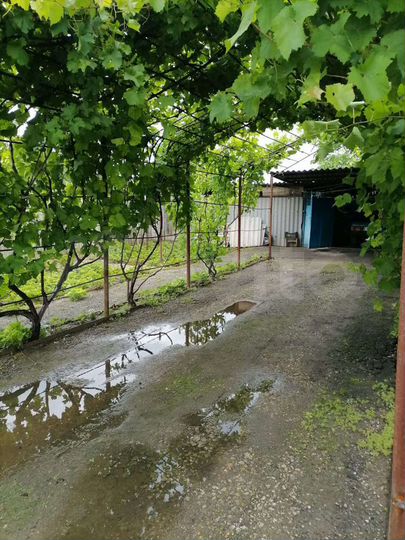 Дом 65 м² на участке 10 сот.