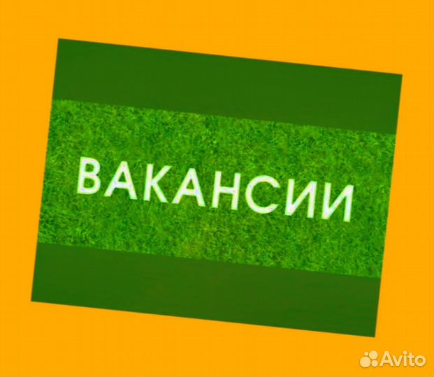 Грузчик Работа вахтой Жилье/Питание Еженедельные в