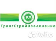 Инженер пто