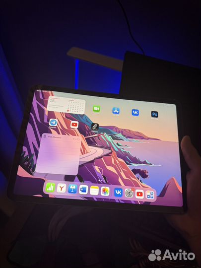 iPad Pro 11' 256 gb (2018)