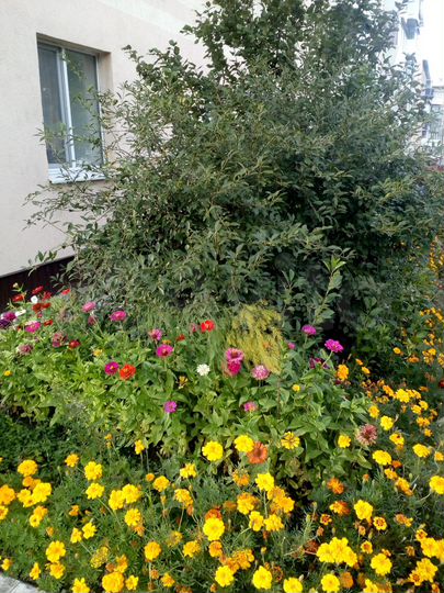 2-к. квартира, 64 м², 3/5 эт.