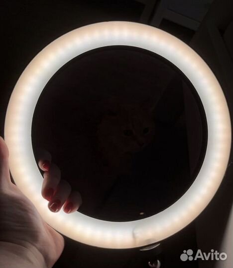 Новая кольцевая лампа