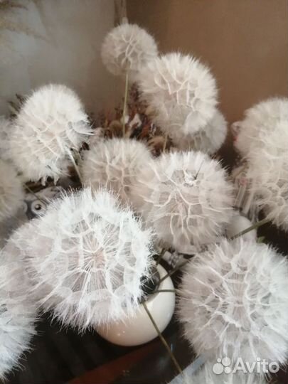 Цветы сухоцветы