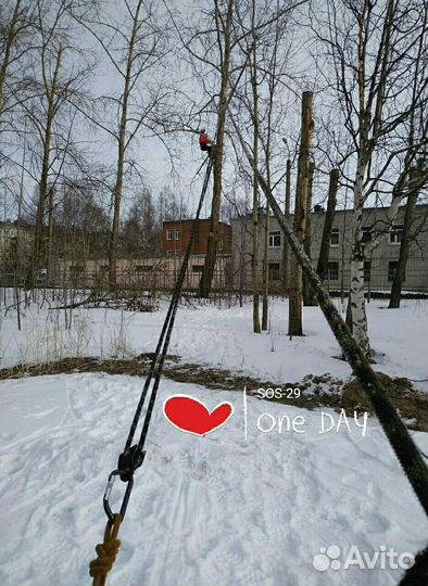 Обрезка деревьев