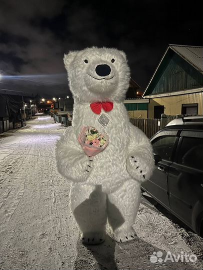 Белый медведь на праздник – арктический сюрприз