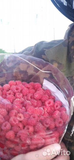 Ягода малина, клубника, смородина, калина сироп