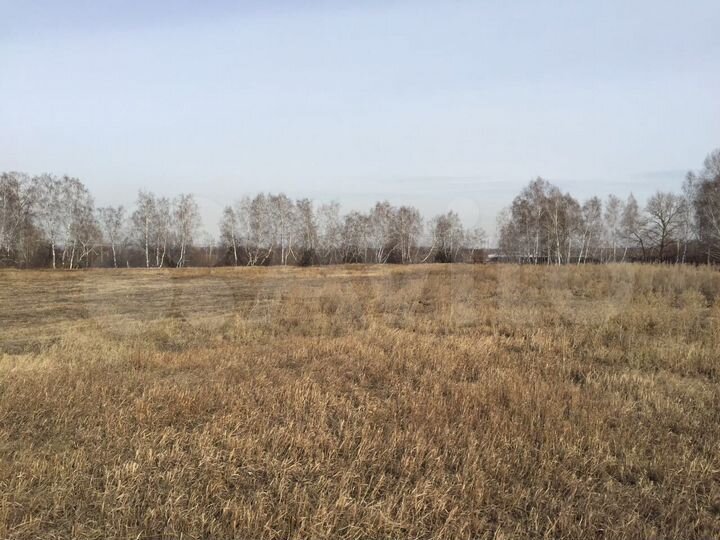 Участок 7,4 га (СНТ, ДНП)