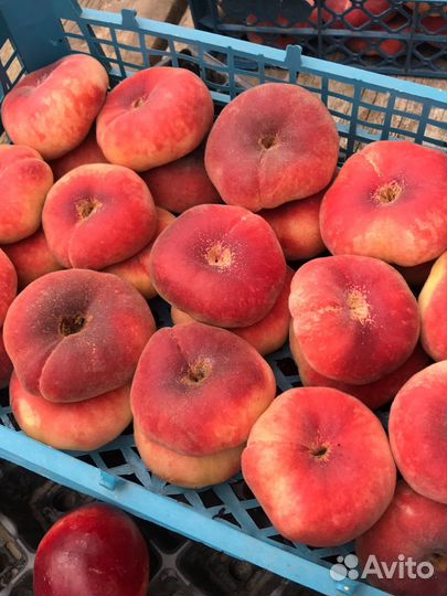 Персик инжирный