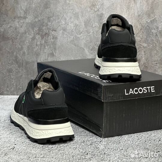 Кроссовки мужские осенние Lacoste