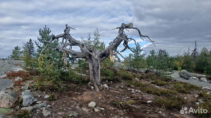 Воттоваара экскурсия