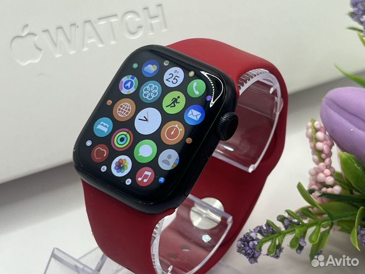 Apple watch 8