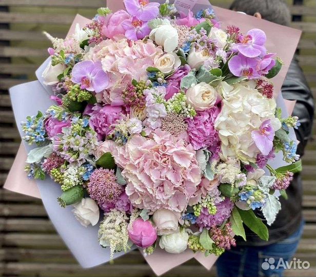 Гортензии цветы