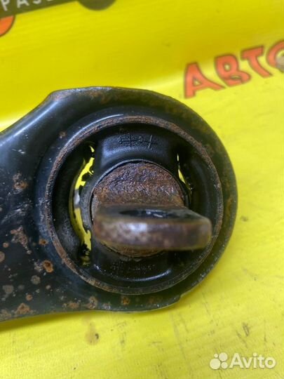 Рычаг подвески задний правый Hyundai Elantra HD