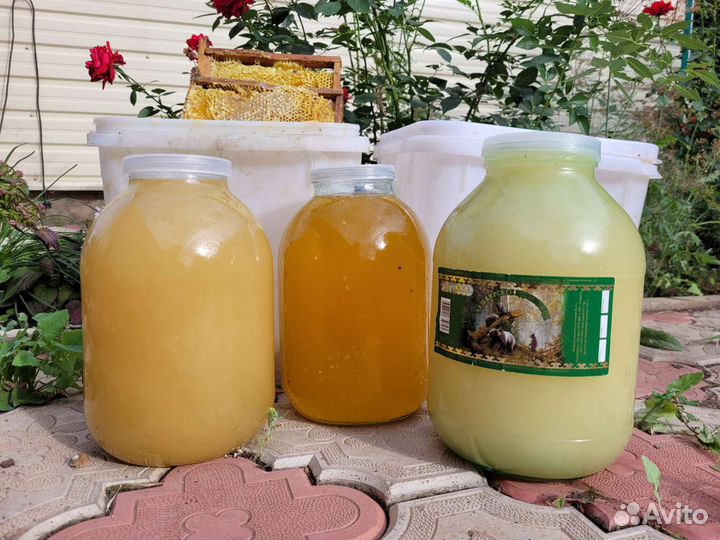 Мед башкирский