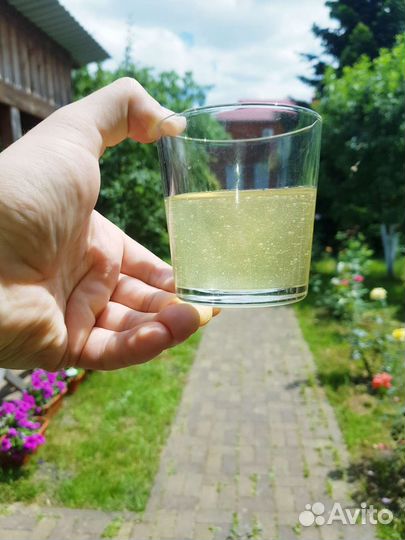 Мед акациевый 2023