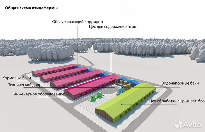 Птицеферма