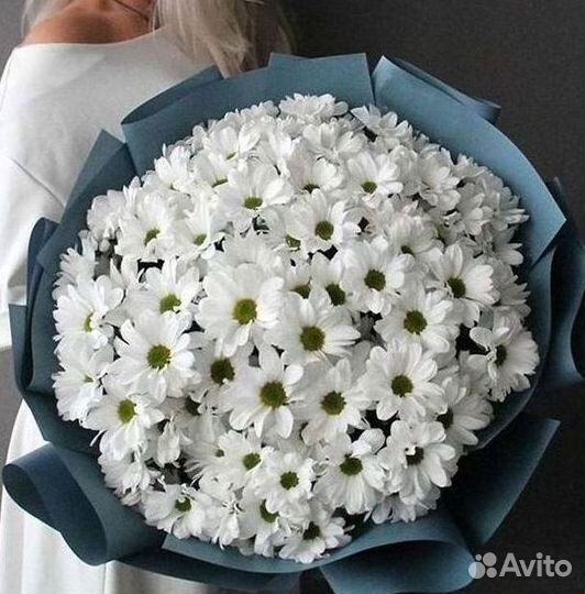 Хризантема. Букеты Цветы доставка