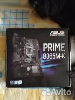 Материнская плата asus prime B365M-K