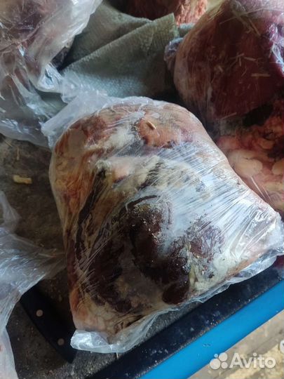 Мясо для собак говядина рубленная