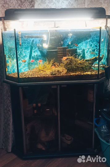 Аквариум