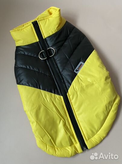 Новая одежда для больших и средних собак