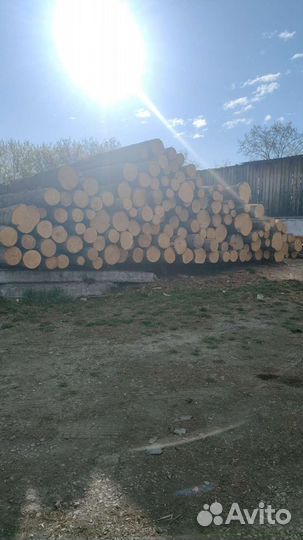 Помощник рамщика