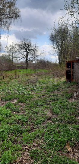 Дом 41,2 м² на участке 38 сот.