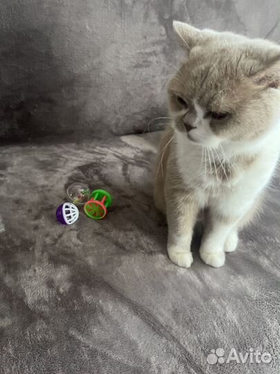 Игрушки для кошек