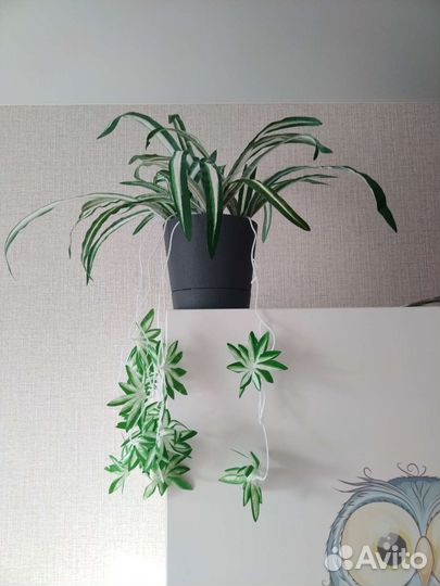 Новый искусственный цветок Хлорофитум Лиана Пальма
