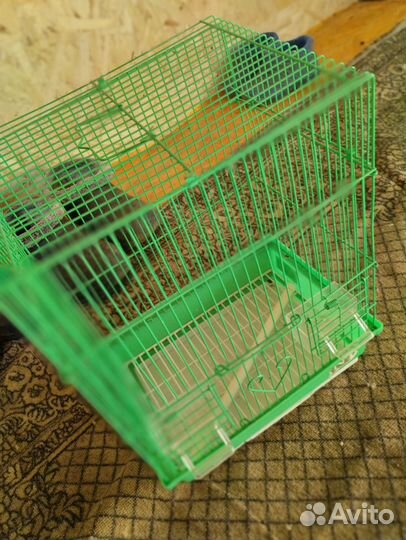 Клетка для попугая