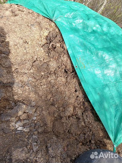 Навоз бесплатно самовывоз