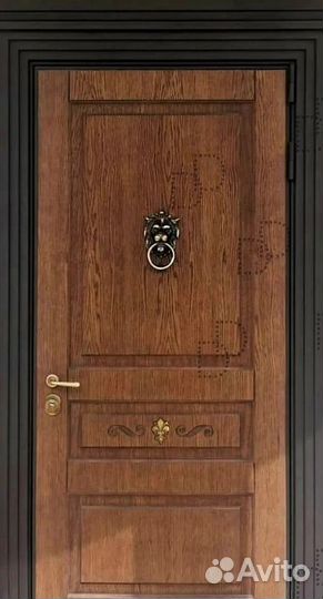 Парадная уличная металлическая дверь в дом