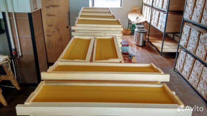 Рамки с вощиной для улья, магазинные,145 мм, Дадан