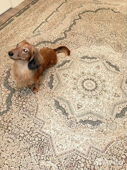 Продам ковер бу