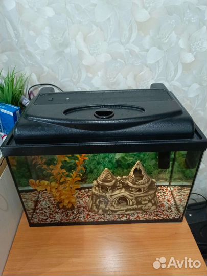Аквариум 40 л
