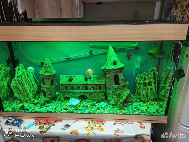 Аквариум