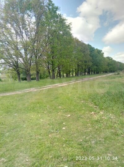 Участок 6,16 га (ИЖС)