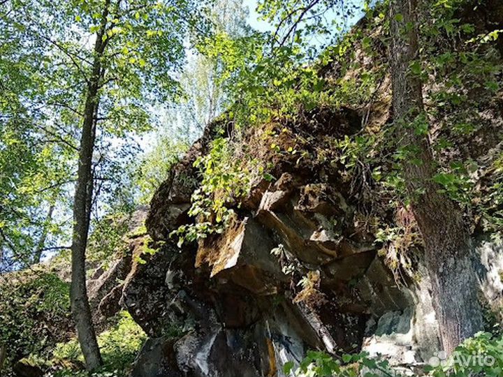 Экскурсия — Петрозаводск — Путешествие по живописн