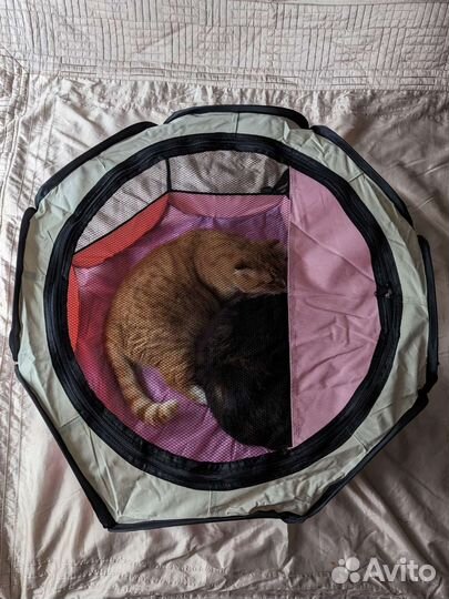 Манеж для животных манеж для котят манеж для собак