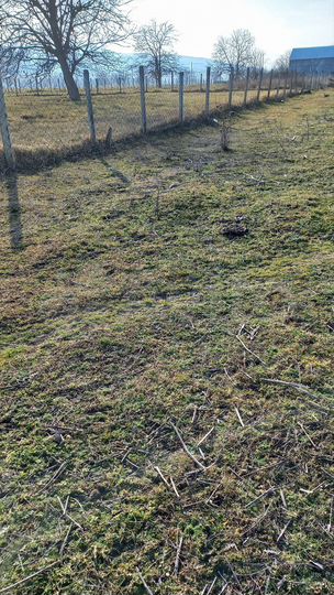 Участок 22,5 сот. (СНТ, ДНП)