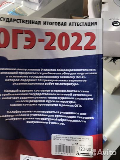 Подготовка к огэ литература