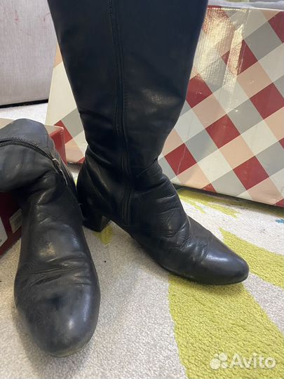 Сапоги демисезонные женские 38
